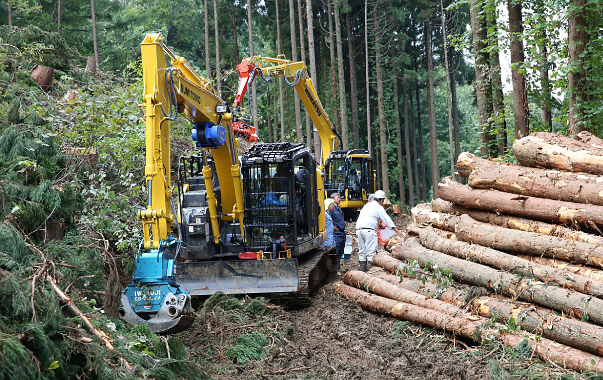 素材生産事業（立木伐採・搬出）